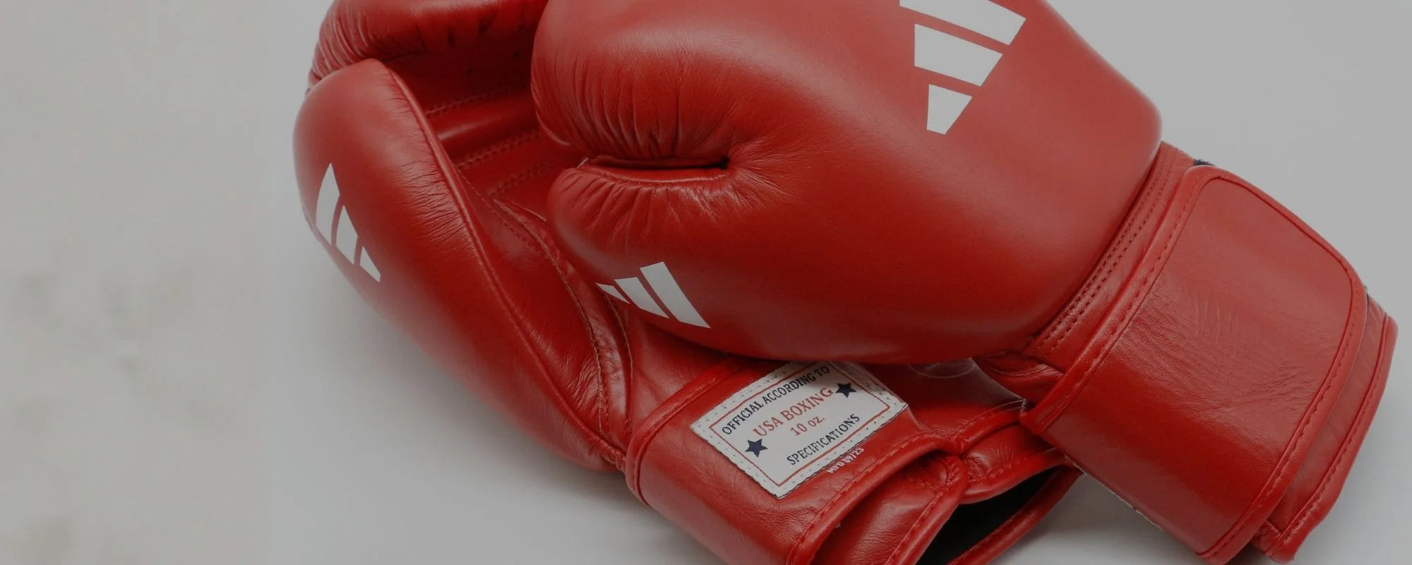 Master Your Fighting Spirit